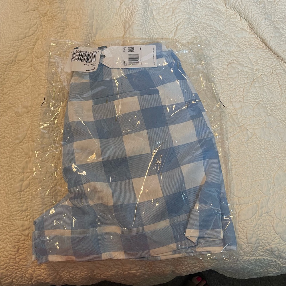 Blue and White Checkered Skirt